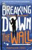 BREAKING DOWN THE WALL