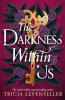 DARKNESS WITHIN US
