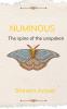 NUMINOUS: The Spine of the Unspoken