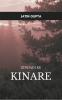 Zindagi ke Kinare: A Heart Learning Its Way Home