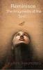 Reminisce: The Fragments of the Soul