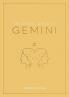 THE ZODIAC GUIDE TO GEMINI