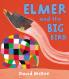 ELMER AND THE BIG BIRD