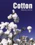 Cotton