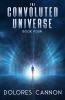 THE CONVOLUTED UNIVERSE:BOOK FOUR(4)
