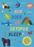 HOW DOES AN OCTOPUS SLEEP?