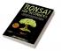 Bonsai For Beginners