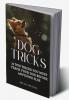 Dog Tricks