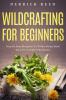 Wildcrafting For Beginners
