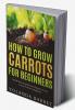 How to Grow Carrots for Beginners