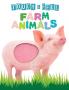 FAM ANIMALS TOUCH AND FEEL BOOK