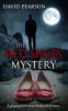 The Red Shoes Mystery