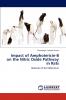 Impact of Amphotericin-B on the Nitric Oxide Pathway in Rats