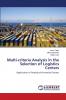 Multi-criteria Analysis in the Selection of Logistics Centers