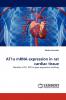 AT1a mRNA expression in rat cardiac tissue
