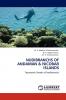 Nudibranchs of Andaman and Nicobar Islands