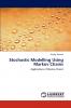 Stochastic Modelling Using Markov Chains
