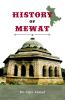 History of Mewat