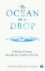 The Ocean in a Drop