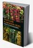 Fruits and Plantation Crops: Production and Management