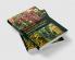 Fruits and Plantation Crops: Production and Management