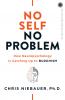 No Self No Problem: How NeuropsychologyIs Catching Up to Buddhism