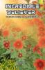 INCREDIBLE BELIEVER : Truth behind achievers