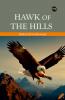 Hawk of the Hills