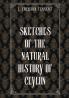 SKETCHES OF THE NATURAL HISTORY OF CEYLON