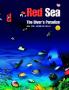 Red Sea : The Divers Paradise