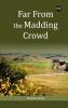 FAR FROM THE MADDING CROWD