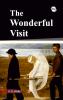 THE WONDERFUL VISIT