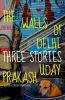 WALLS OF DELHI THE