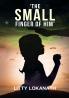 The Small Finger of HIM