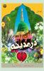 Durrey Madina (Naat Vol 1)