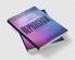 Reprogram Your Mind: An inversive way to be wealthy and successful
