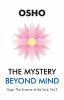 The Mystery Beyond Mind