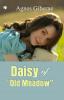 Daisy of Old Meadow