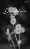 Dandelions