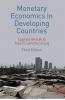 Monetary Economics in Developing Countries