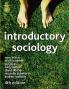 Introductory Sociology