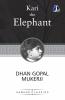 Kari the Elephant