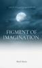 Figment of Imagination: are we just a part of figment of imagination