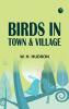 Birds in Town & Village