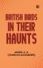 British Birds in Their Haunts