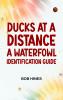 Ducks at a Distance: A Waterfowl Identification Guide