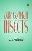 Our Common Insects
