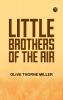 Little Brothers of the Air