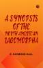 A Synopsis of the North American Lagomorpha