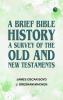 A Brief Bible History: A Survey of the Old and New Testaments
